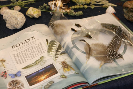 Дневник юного натуралиста: скрапбук Бакингем К., Пиннингтон А. Printed books Лаборатория знаний