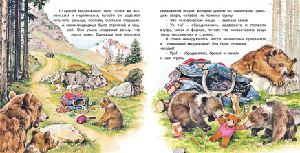 Приключения медвежонка Printed books Фламинго