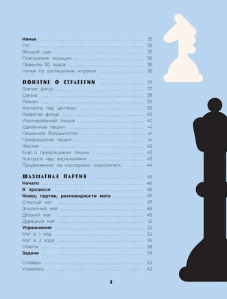 Шахматы. Развивающий учебник для детей и родителей Printed books Росмэн