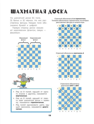 Шахматы. Развивающий учебник для детей и родителей Printed books Росмэн