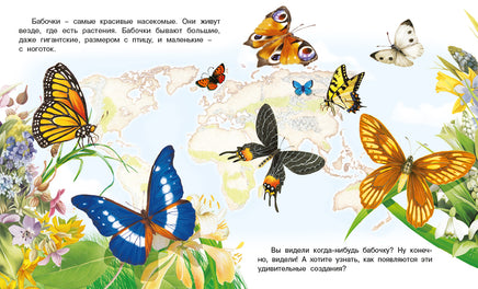 Как появляется бабочка Printed books Фламинго