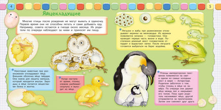 Как мы устроены. Откуда мы появляемся Printed books Омега