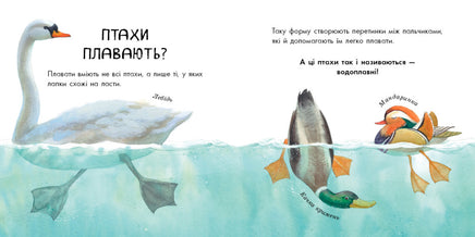 В гостях у природи : Птахи різні та дивовижні (у) Printed books Ранок