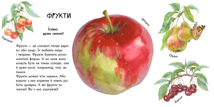 В гостях у природи : Про рослини (у) Printed books Ранок
