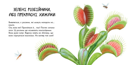 В гостях у природи : Про рослини (у) Printed books Ранок