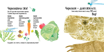 Професор Карапуз : Куди поділася черепаха? (у) Printed books Ранок