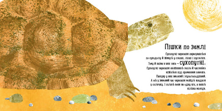 Професор Карапуз : Куди поділася черепаха? (у) Printed books Ранок