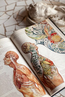 The Book. Как создать цивилизацию заново Printed books МИФ