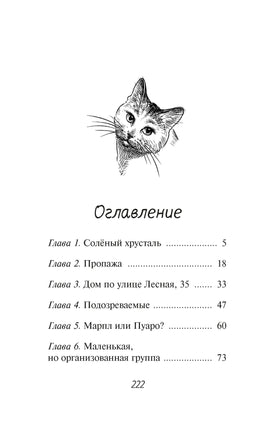 Расследование в кафе Крендель с корицей Printed books Махаон
