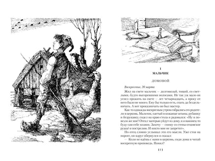 Удивительное путешествие Нильса с дикими гусями. Большие книги Printed books Азбука