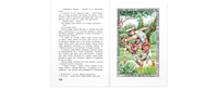 Два великих фантазёра Printed books ЭНАС
