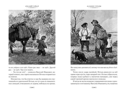 Тимур и его команда. Судьба барабанщика. Большие книги Printed books Азбука