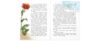 Ботанические сказки Printed books ЭНАС