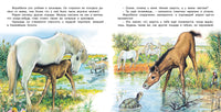 Приключения жеребенка Printed books Фламинго