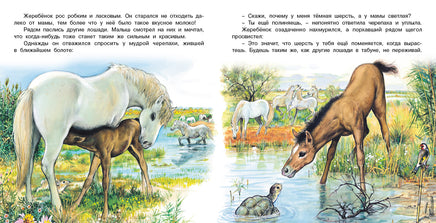 Приключения жеребенка Printed books Фламинго