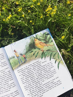 Птицы. Детская энциклопедия Printed books Миф