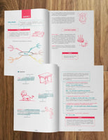 Скорочтение. Пошаговый план/ Ахмадулин Ш. Т. Printed books Капитал