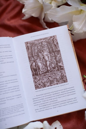 Мифы тропической и южной Африки. От «Съедобного Неба» до ритуальных масок и птицы-молнии Printed books Миф