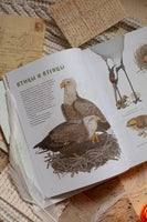 Птицы в деревне. Где найти и как узнать Printed books Миф