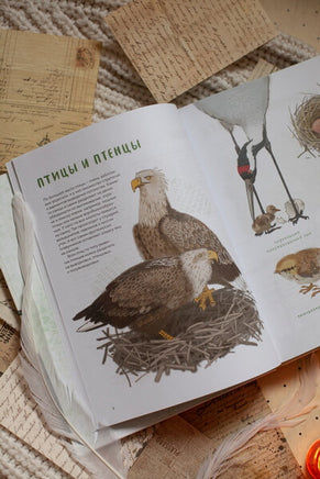 Птицы в деревне. Где найти и как узнать Printed books Миф
