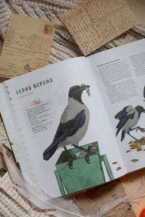 Птицы в деревне. Где найти и как узнать Printed books Миф