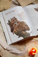 Птицы в деревне. Где найти и как узнать Printed books Миф