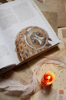 Птицы в деревне. Где найти и как узнать Printed books Миф