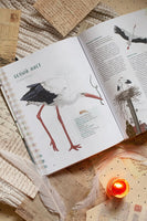 Птицы в деревне. Где найти и как узнать Printed books Миф
