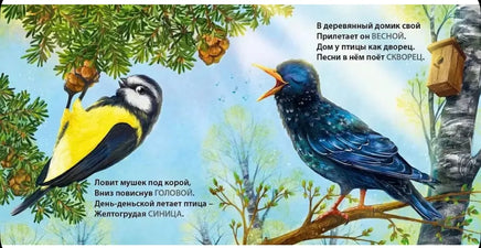 Такие разные птицы. Загадки-рифмы Printed books Робинс