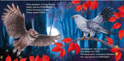 Такие разные птицы. Загадки-рифмы Printed books Робинс