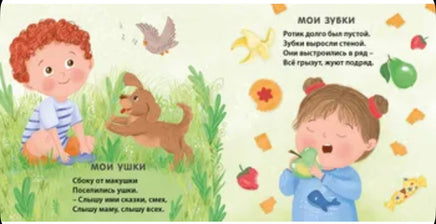 Мое тело. Книжки - картонки Printed books Робинс