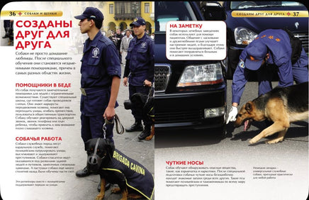 Собаки и щенки. Детская энциклопедия Printed books Росмэн