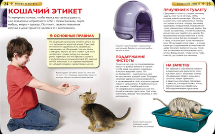 Кошки и котята. Детская энциклопедия школьника Printed books Росмэн