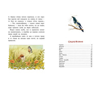 Сорочьи сказки. Толстой А. Printed books РЕЧЬ