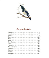 Сорочьи сказки. Толстой А. Printed books РЕЧЬ