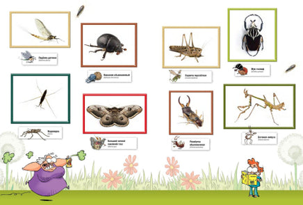 Насекомые в комиксах. Том 2 Printed books Пешком в Историю