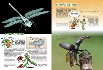 Насекомые в комиксах. Том 2 Printed books Пешком в Историю
