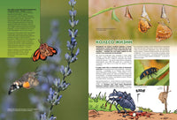 Насекомые в комиксах. Том 2 Printed books Пешком в Историю