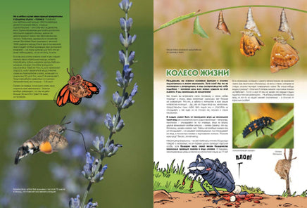 Насекомые в комиксах. Том 2 Printed books Пешком в Историю