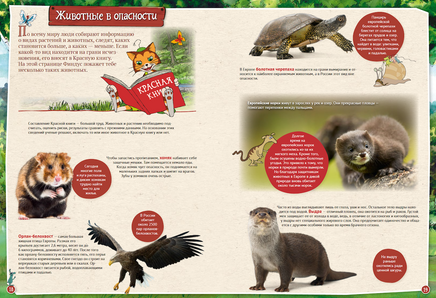 Петсон и Финдус изучают животных Printed books Белая Ворона