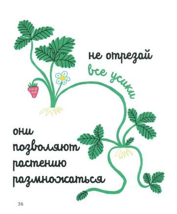 Белая книга садоводства для детей Print Books Самокат