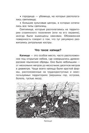 Славянские мифы и обычаи Printed books АСТ