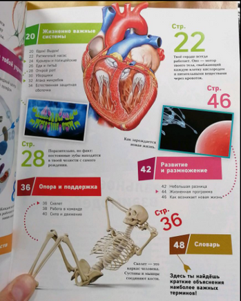 Человек. Взгляд внутрь Printed books Эксмо