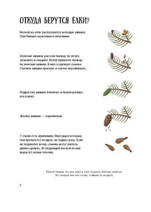 Елка и ее родственники Printed books Абраказябра