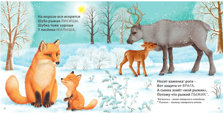 Загадки - рифмы. Подарочное издание Printed books Робинс