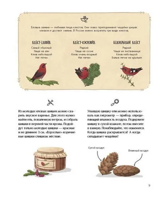 Елка и ее родственники Printed books Абраказябра