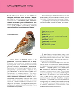 Птицы. Полная энциклопедия Printed books Эксмо