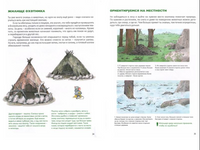 Мы живем в каменном веке. Энциклопедия для детей Printed books Пешком в Историю