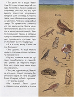 Россия. Большая энциклопедия Чевостика Printed books МИФ