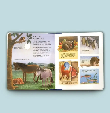 Что? Почему? Зачем? Малышу. Когда приходит ночь (с волшебными окошками) Printed books Омега